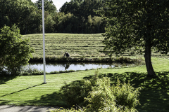 Vennelygaard-have-skov-soe
