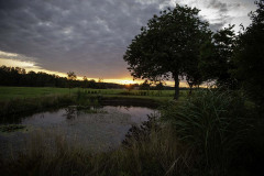 Vennelygaard_feriebolig_DSC5584_50
